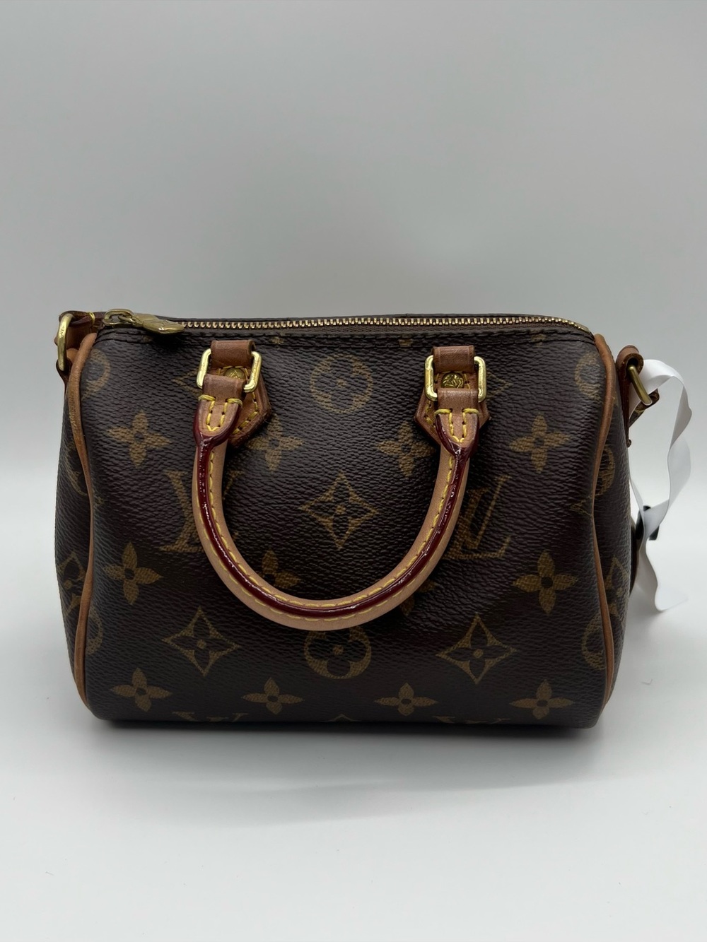 Louis Vuitton Speedy Nano brown monogram coated canvas with gold-tone hardware